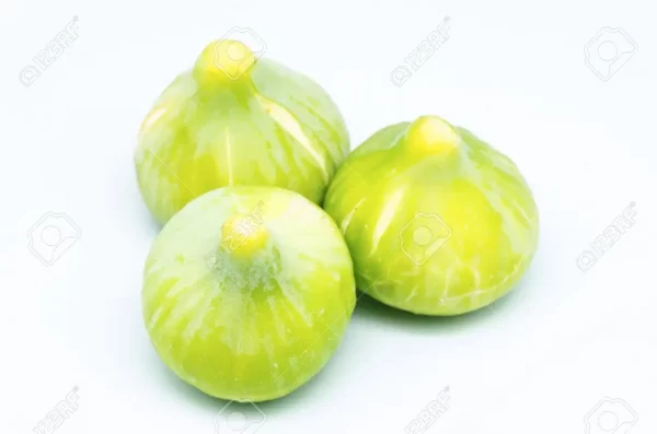 figues 2
